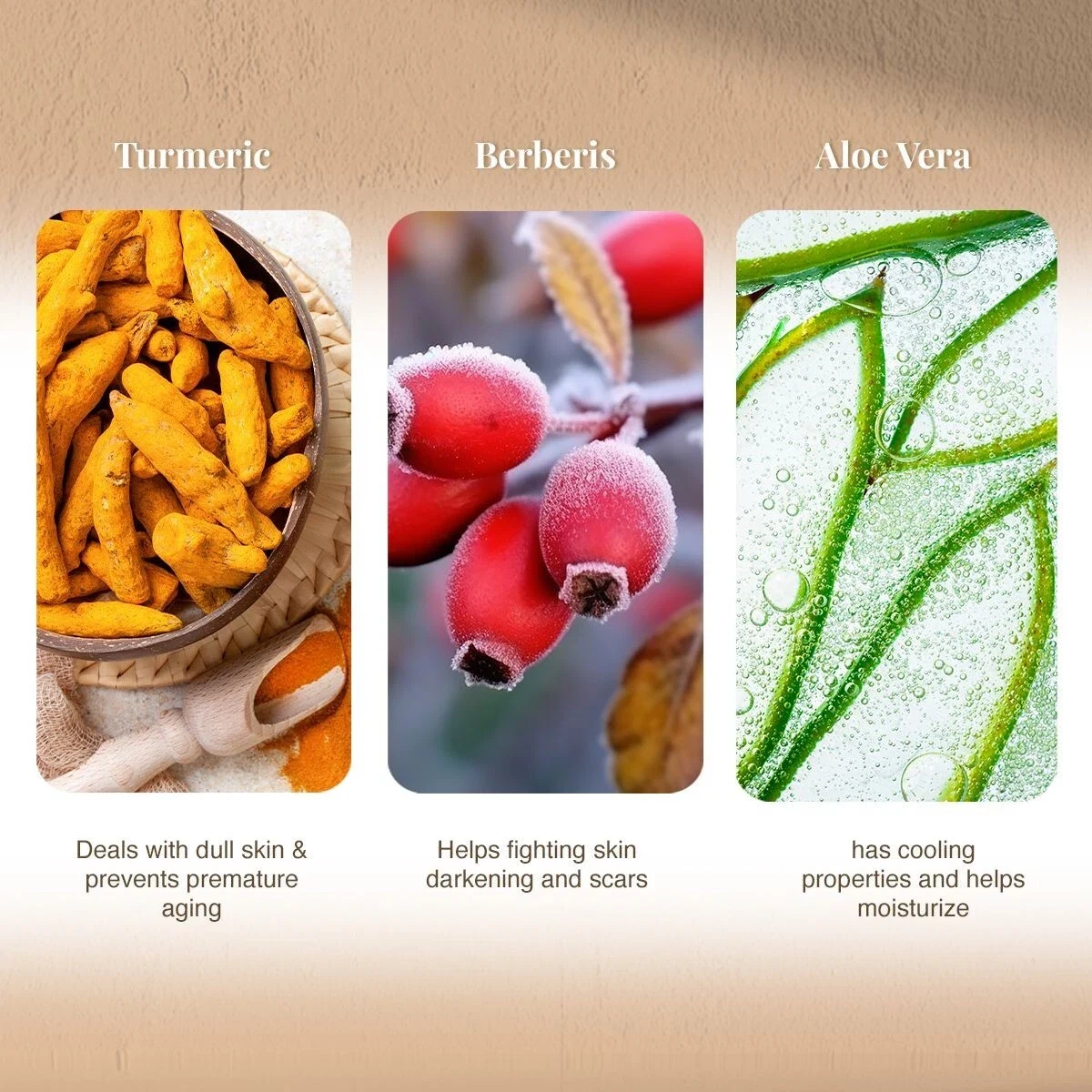 VLCC Turmeric & Berberis Face Wash For Controls pimples & Fair Skin 150g+150g thumbnail