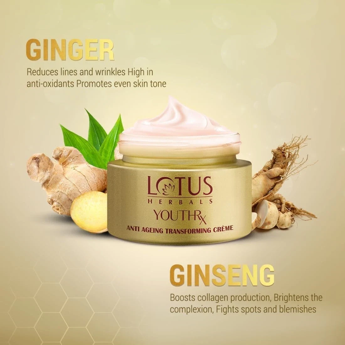 Lotus Herbals Youth Rx Anti-Aging Skin Care Transforming Cream SPF 25 Pa +++ 50g thumbnail