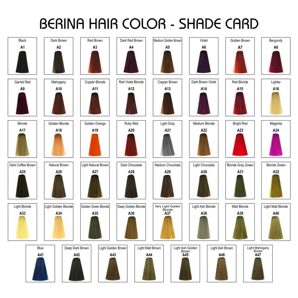 Berina Best Hair Dye Color Cream A2 Dark Brown Long Lasting Permanent 60ml thumbnail