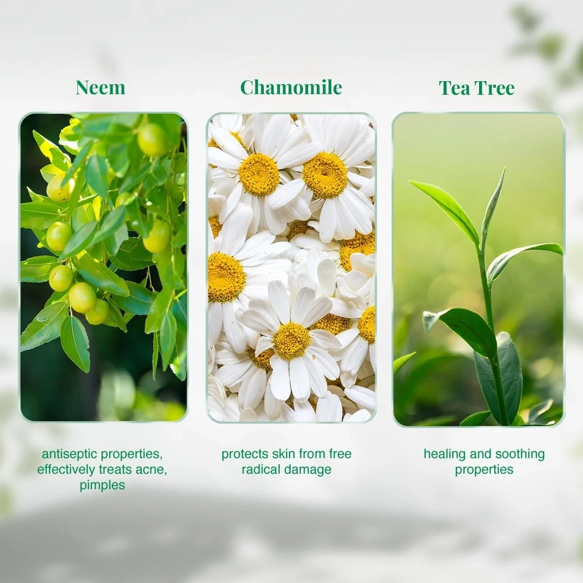 VLCC Neem Face Wash For Fights Acne & Pimples With Chamomile,Tea Tree 150g+150g thumbnail